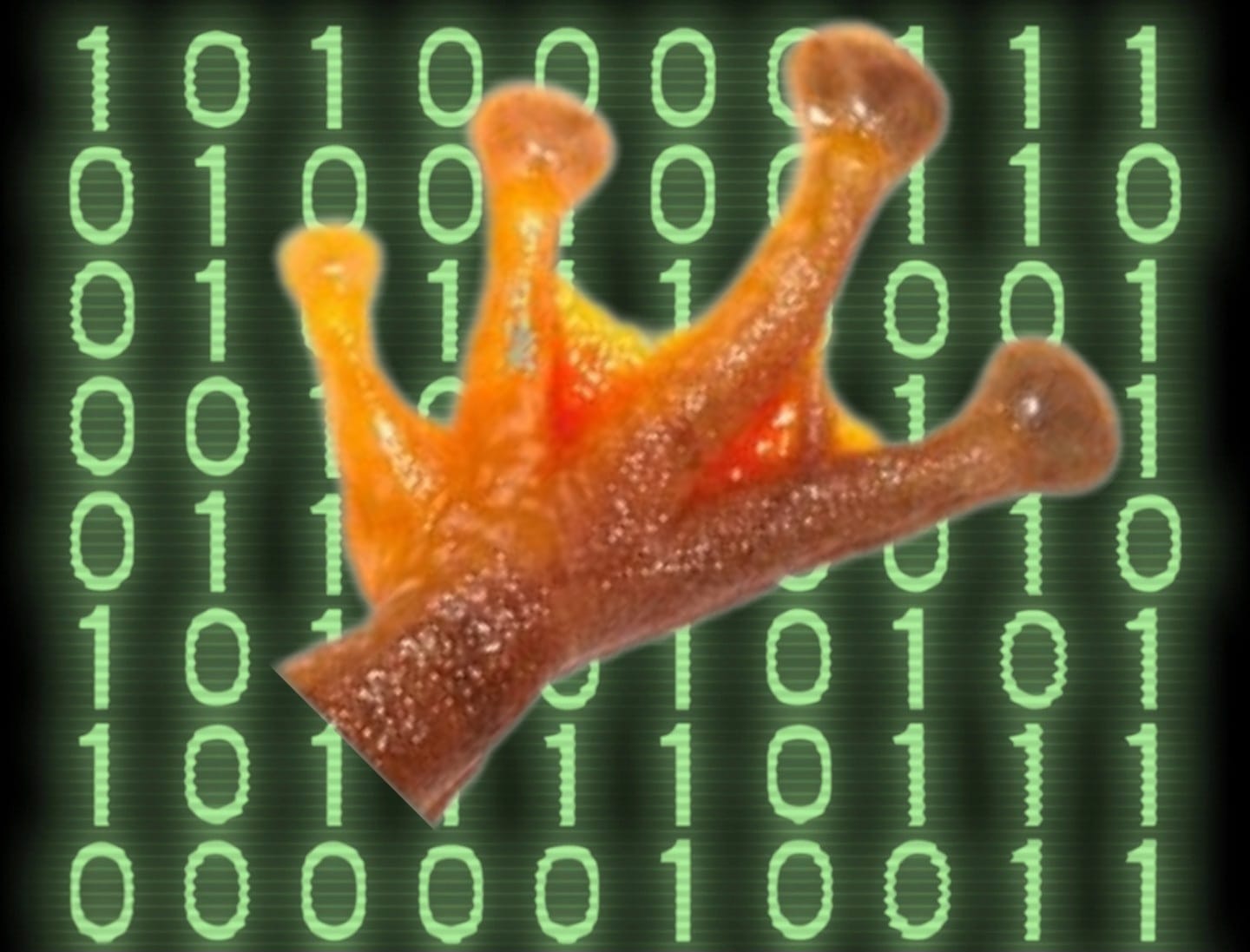 Binārie varžu pirkstiņi